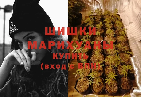 2c-b Богданович