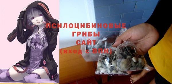 ALPHA PVP Богородск