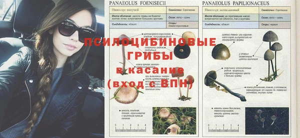 2c-b Богданович