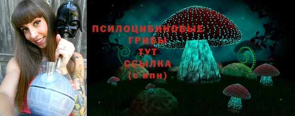 2c-b Богданович
