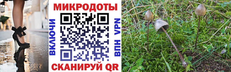 Галлюциногенные грибы Cubensis  hydra сайт  Шуя 